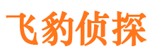 临沂外遇调查取证